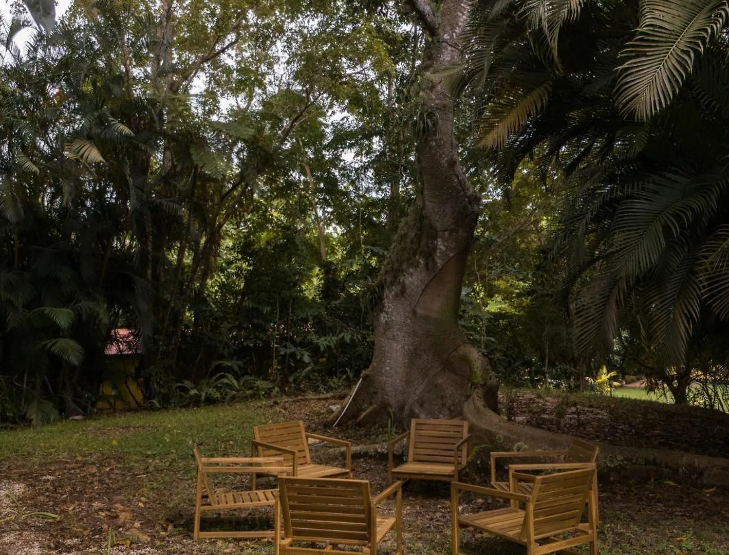 El Oasis Hotel أغوادا