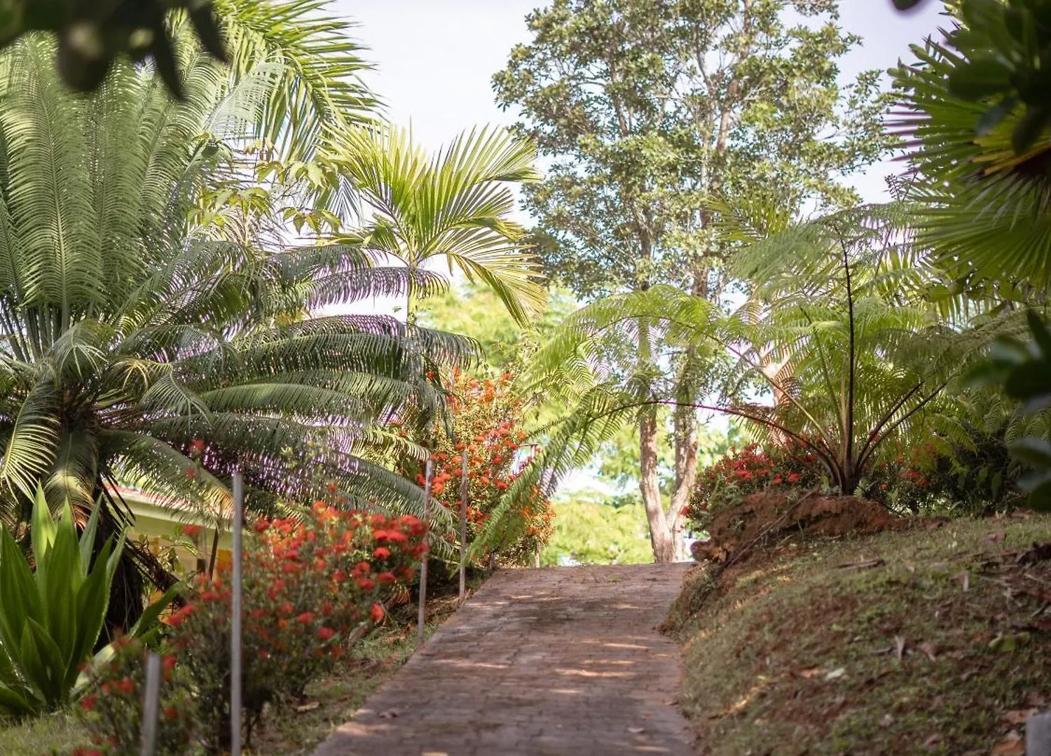 El Oasis Hotel アグアダ