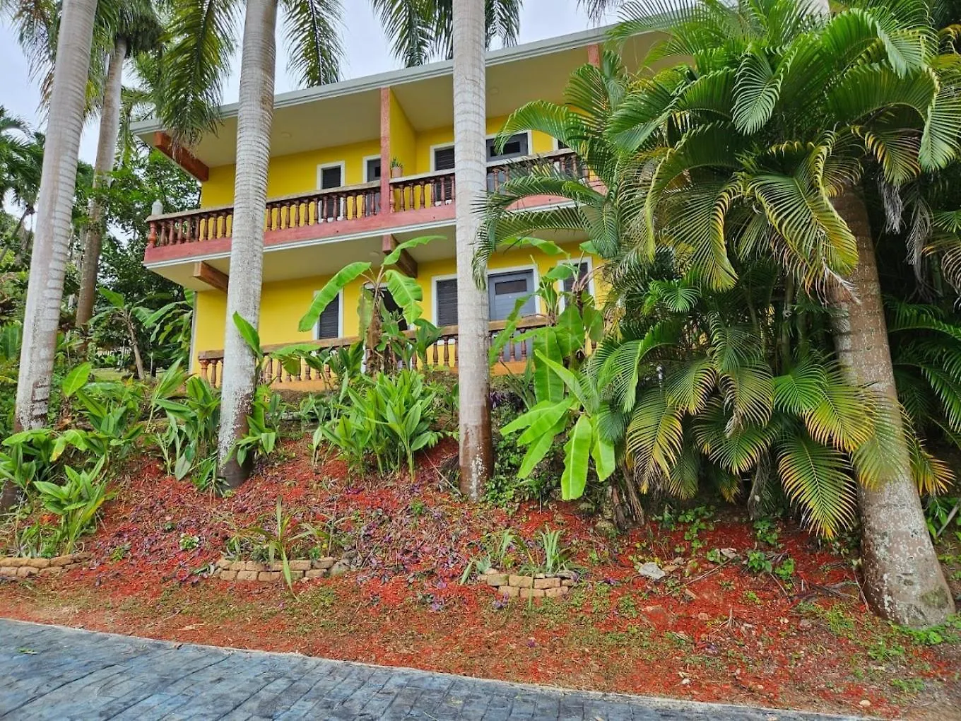 El Oasis Hotel アグアダ