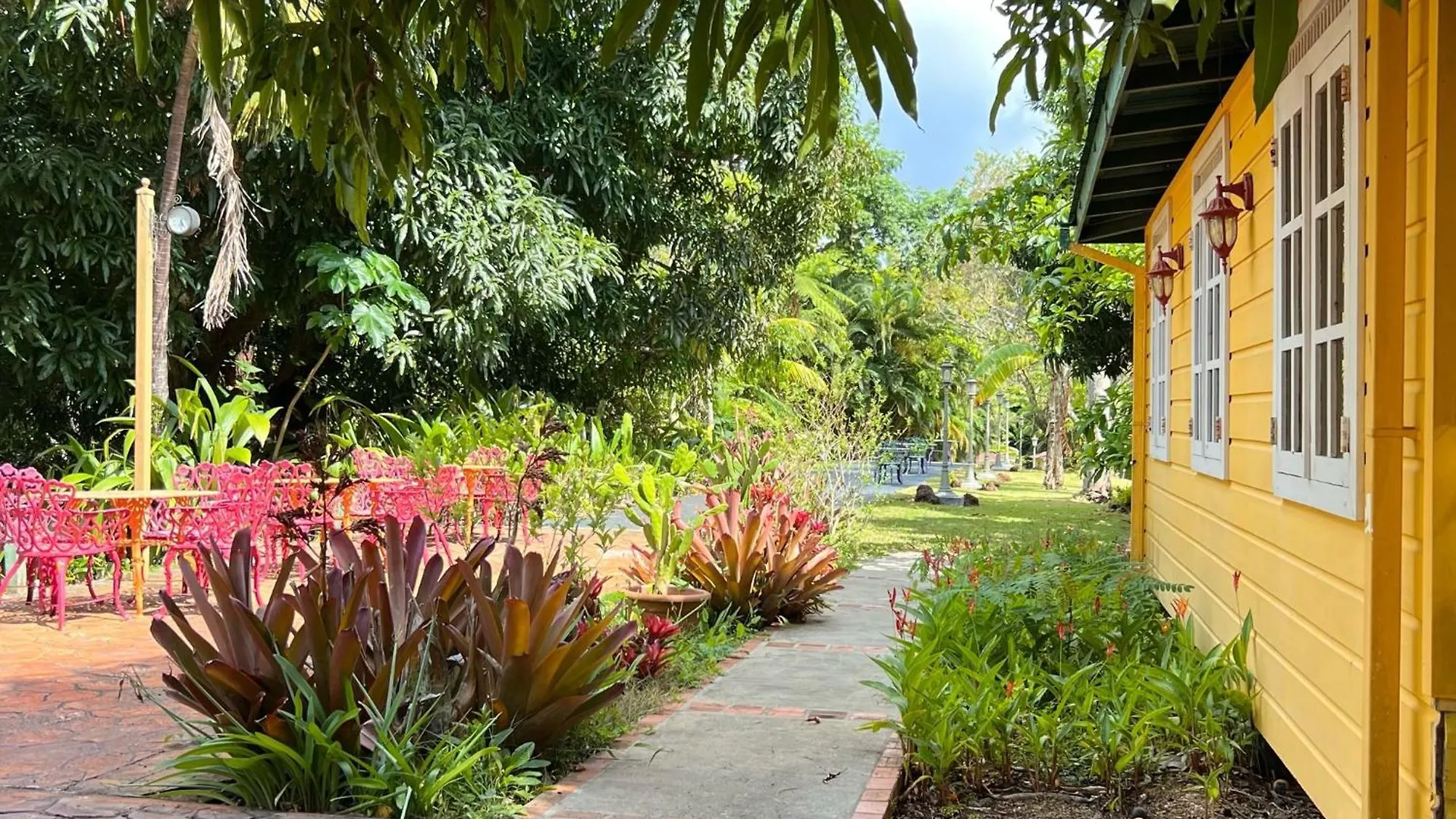 El Oasis Hotel アグアダ
