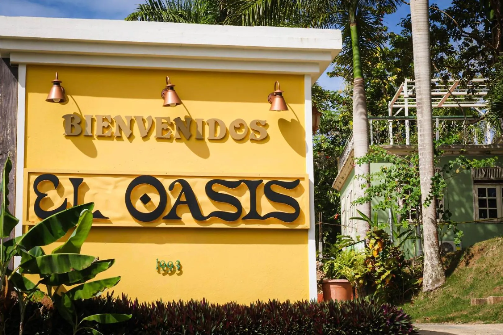 El Oasis Hotel アグアダ