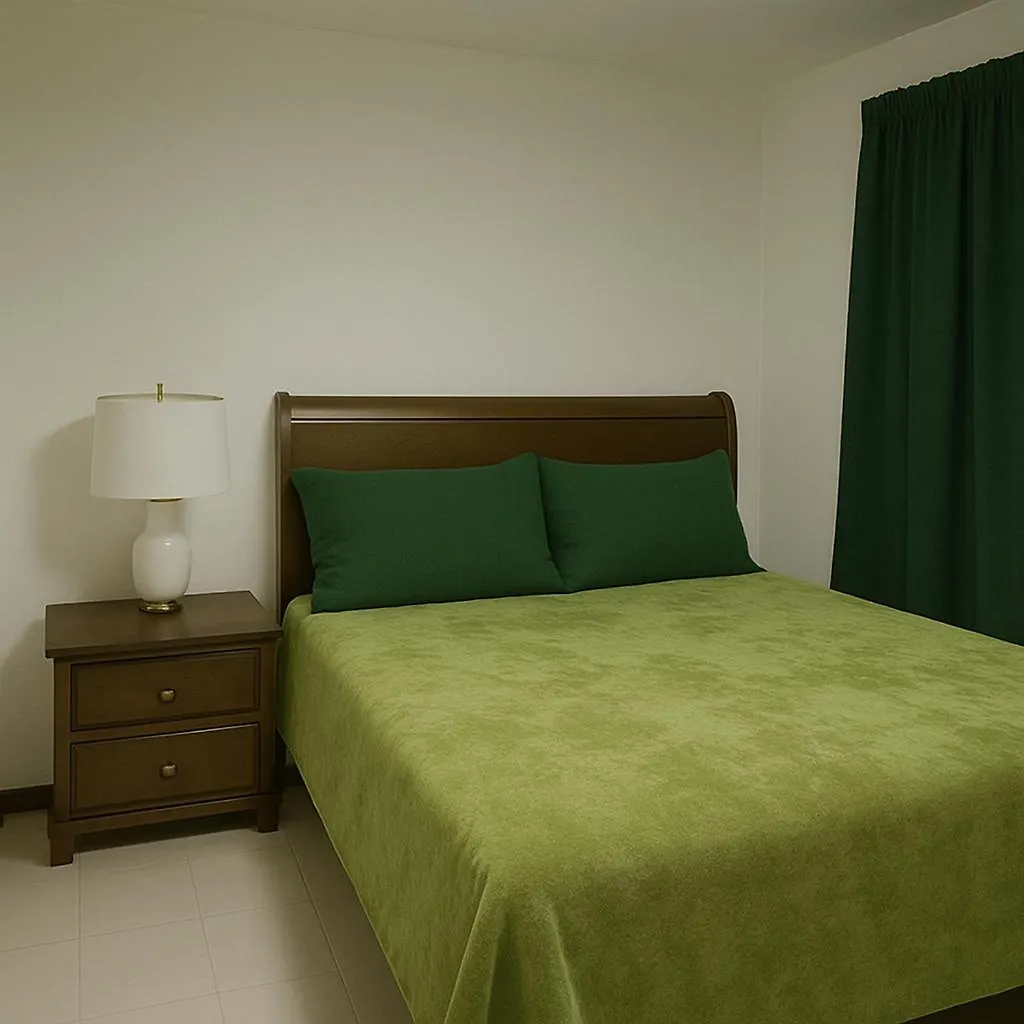 El Oasis Hotel アグアダ