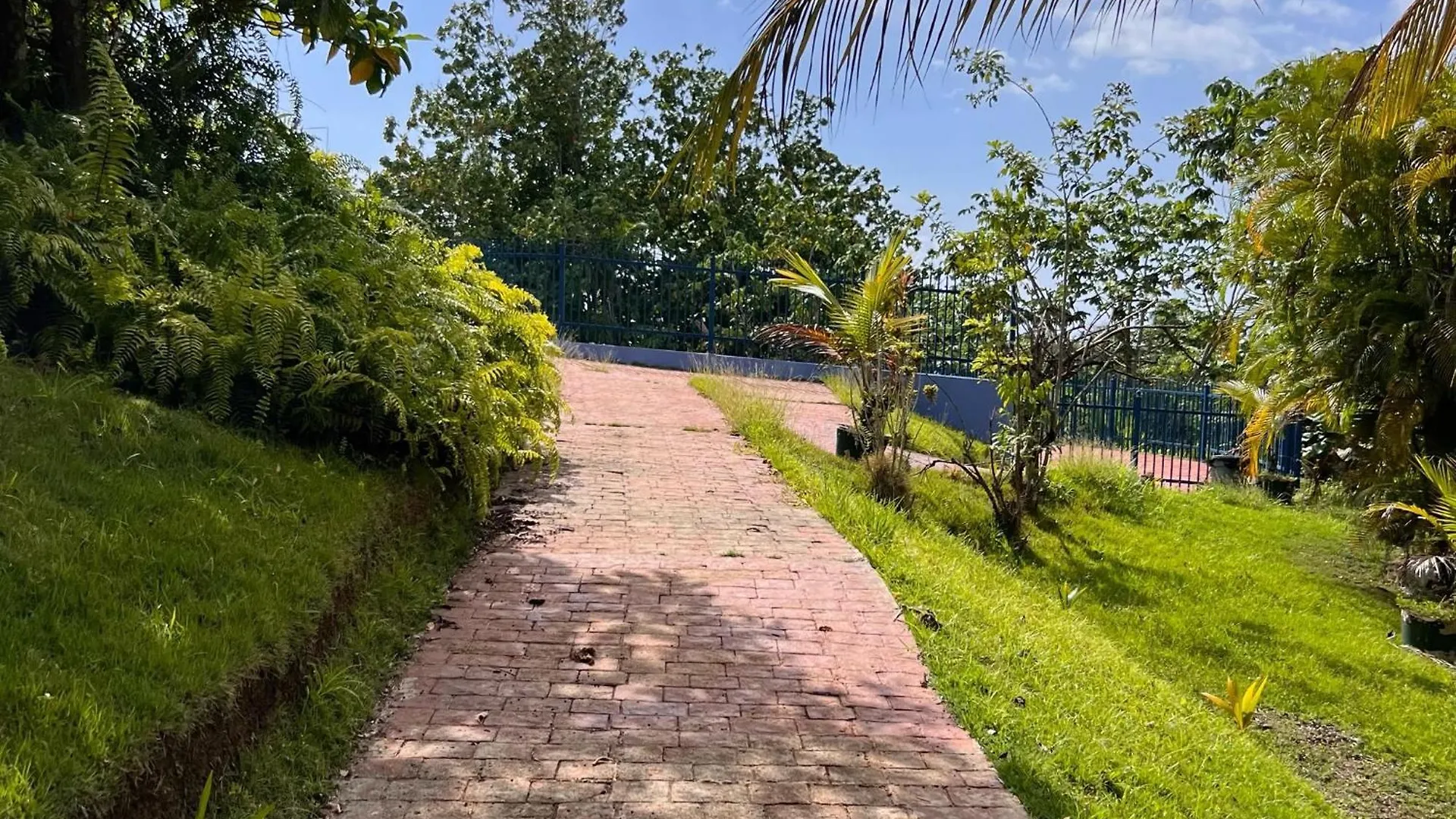 ***  El Oasis Hotel Aguada Porto Rico
